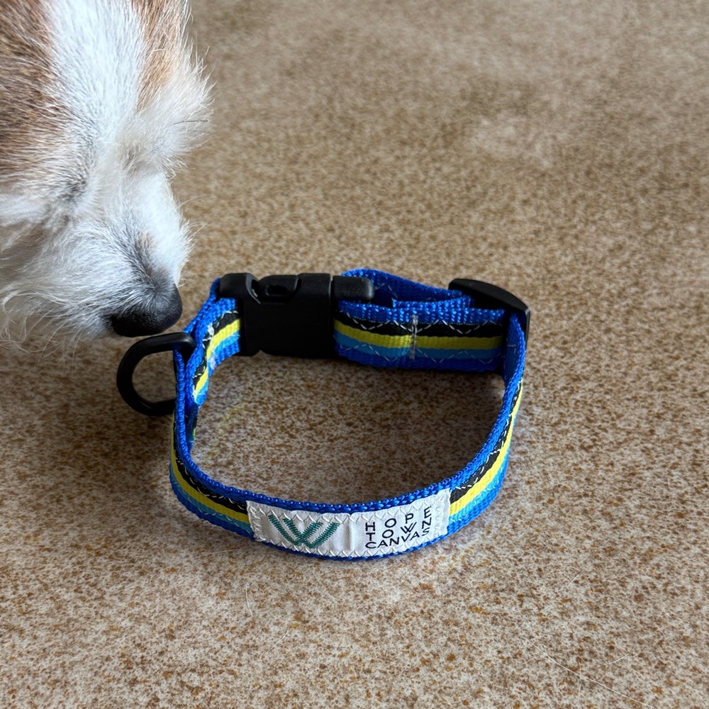 Hope Town Canvas Bahamian Dog Collar NWOT